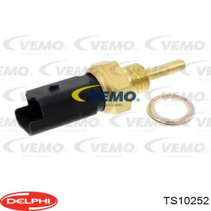 TS10252 Delphi