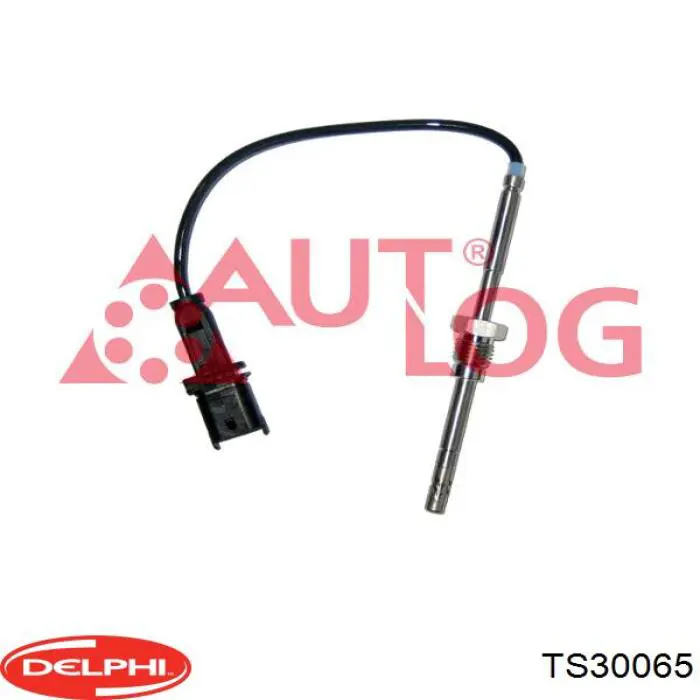 TS30065 Delphi