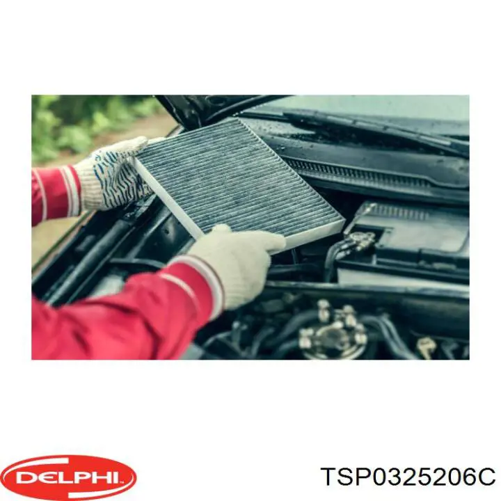 TSP0325206C Delphi Внутрисалонный фильтр