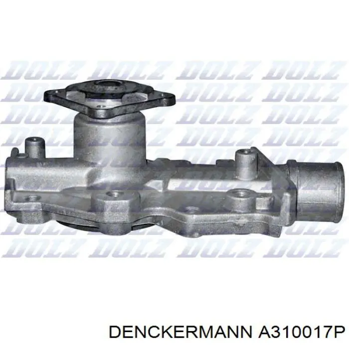 A310017P Denckermann