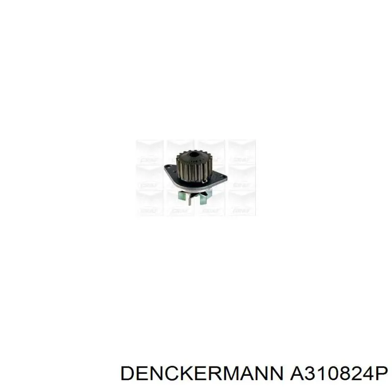 A310824P Denckermann