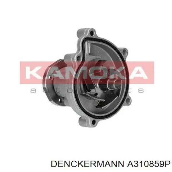 A310859P Denckermann