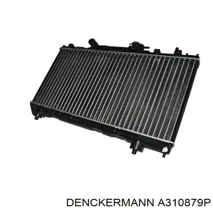 A310879P Denckermann