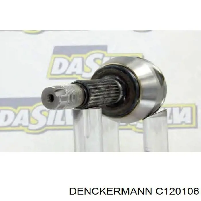 C120106 Denckermann