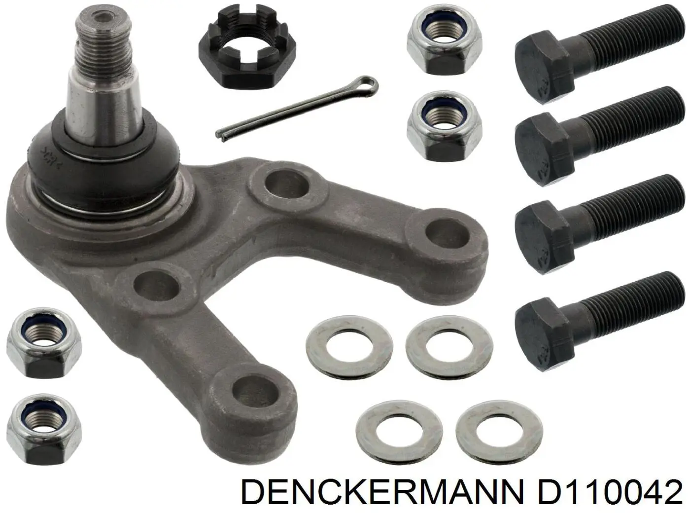 D110042 Denckermann