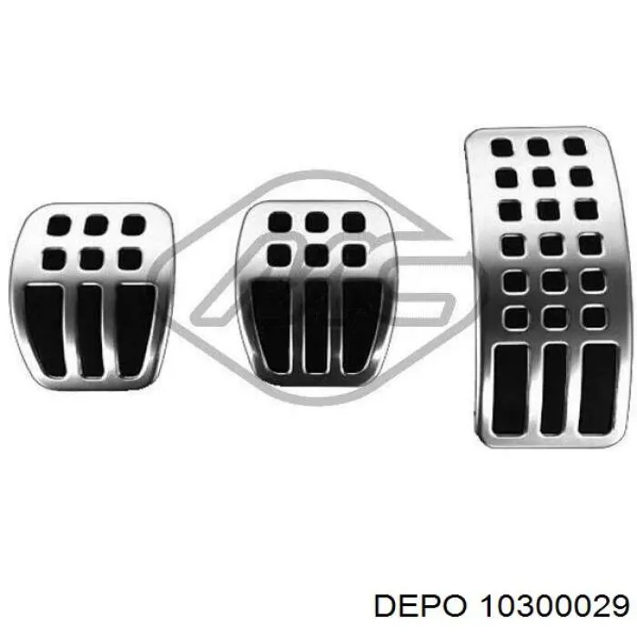 WR1124 Signeda 
