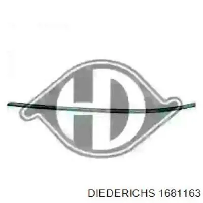 1681163 Diederichs 