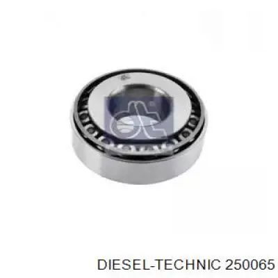 Подшипник шкворня Diesel Technic 250065