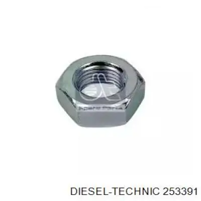 253391 Diesel Technic
