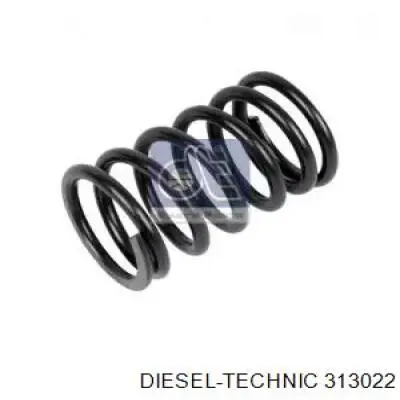 313022 Diesel Technic