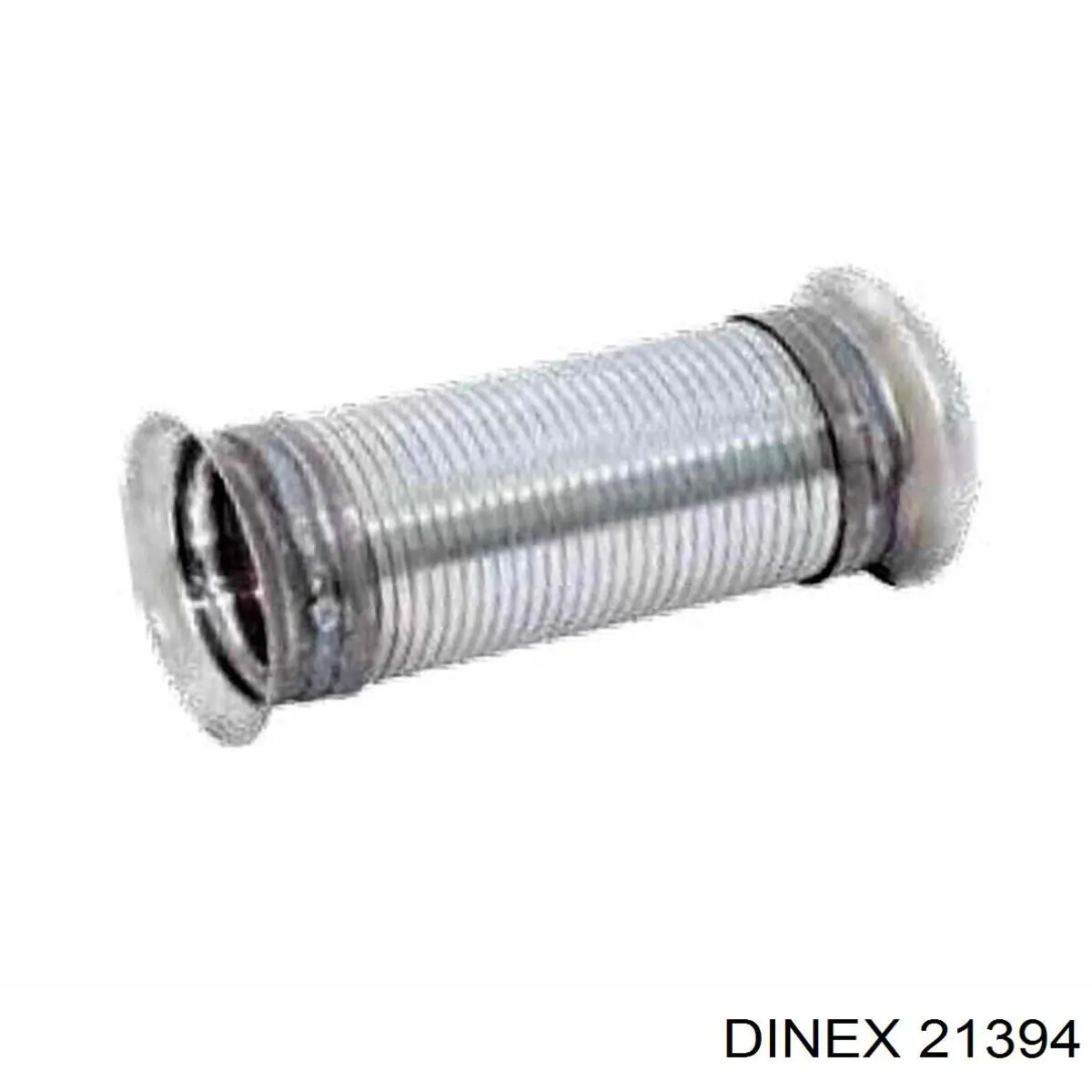  21394 Dinex