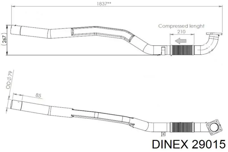  504081685 Iveco