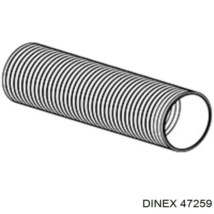 Купить 4IA005 Dinex Гофротруба выхлопной системы