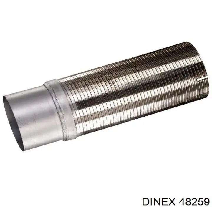  48259 Dinex