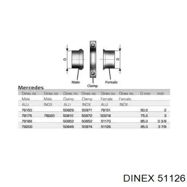  51126 Dinex