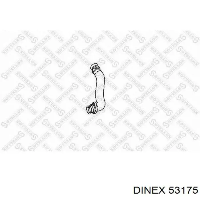 54233 Dinex Штаны глушителя передние