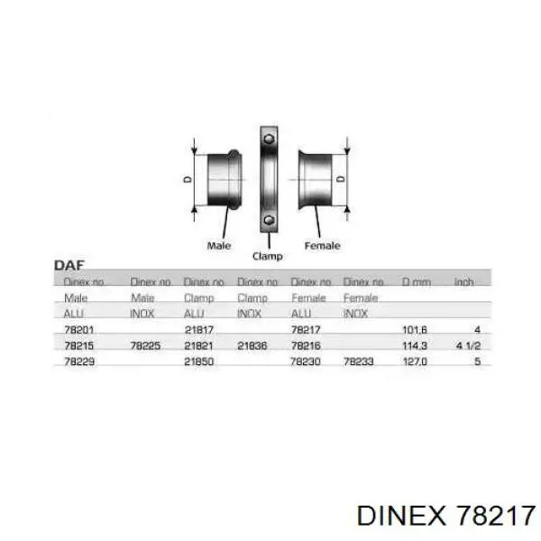  78217 Dinex