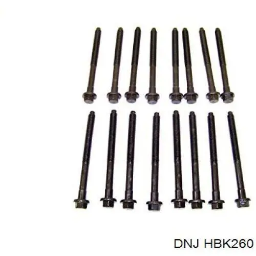 HBK260 DNJ Болт крепления головки блока цилиндров