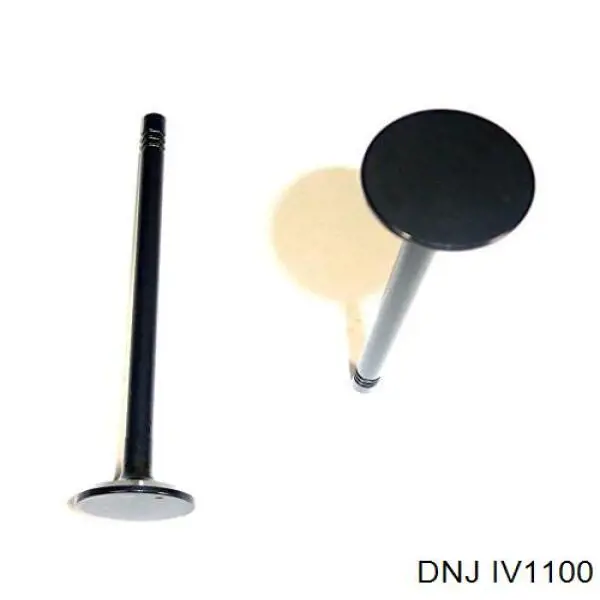 IV1100 DNJ Впускной клапан