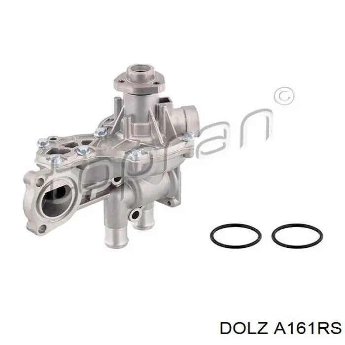 A161RS Dolz Водяной насос охлаждения, с корпусом