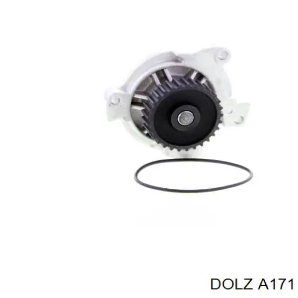 A171 Dolz Насос водяной