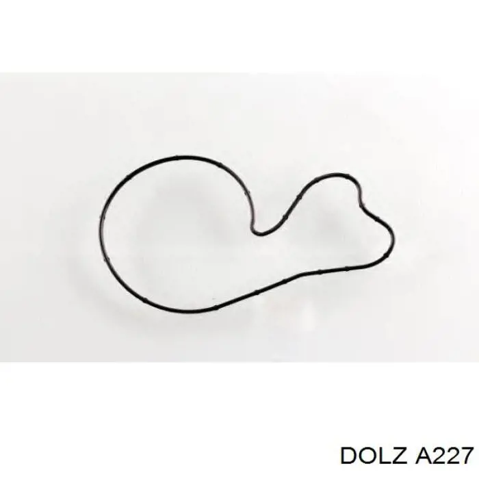 A227 Dolz Насос водяной