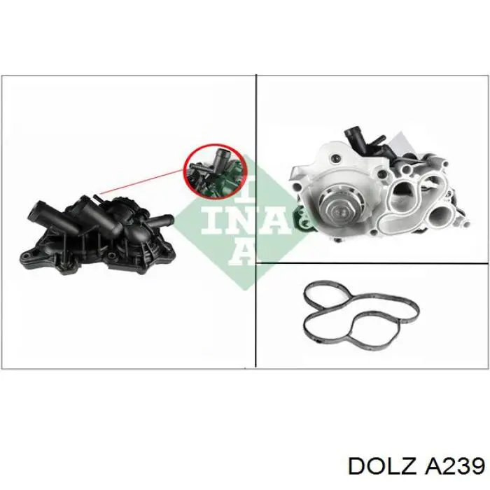 A239 Dolz Насос водяной
