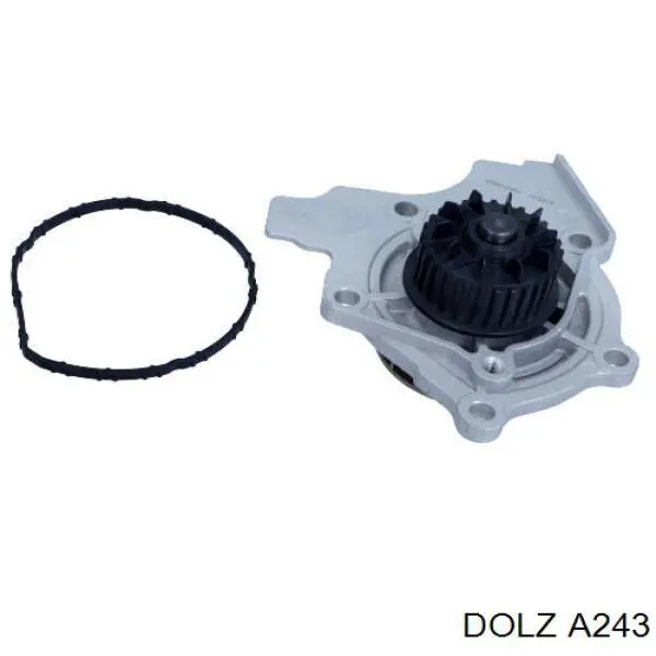 A243 Dolz Насос водяной