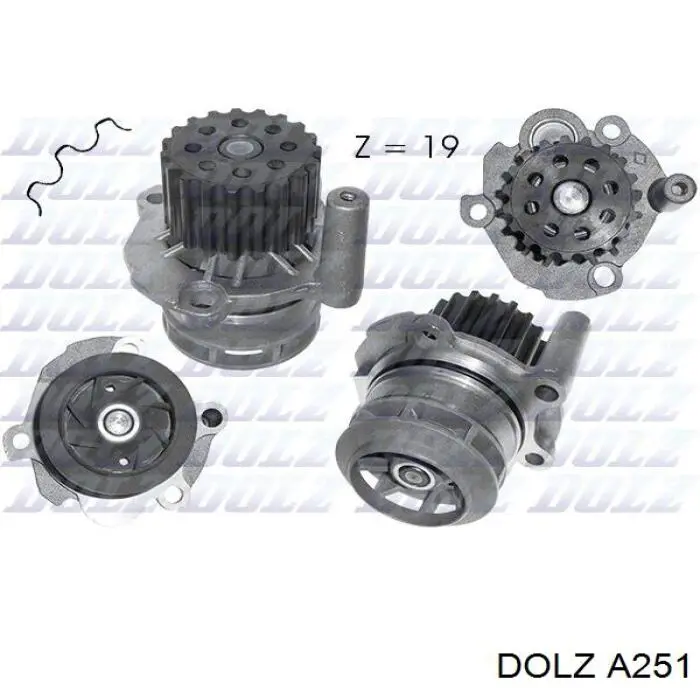 A251 Dolz