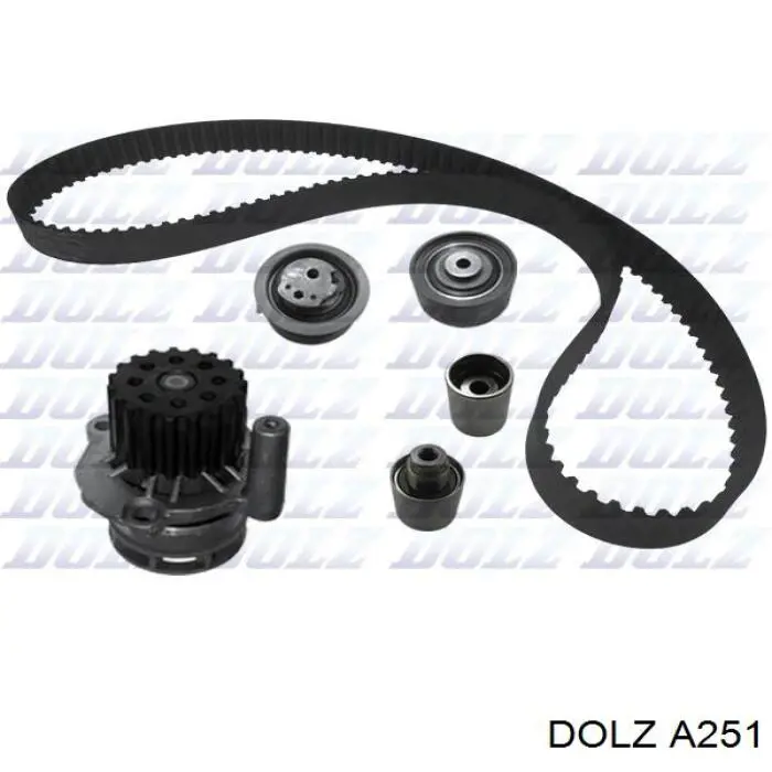 Купить A251 Dolz Насос охлаждения