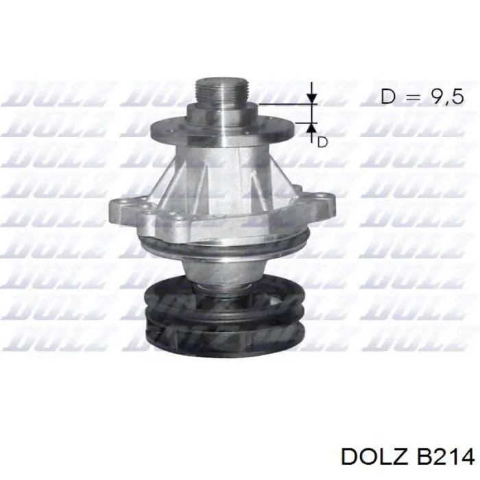 B214 Dolz