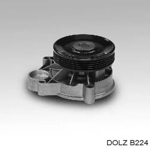 Купить B224 Dolz Насос охлаждения