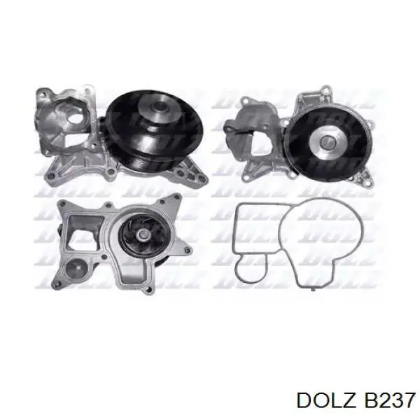 B237 Dolz