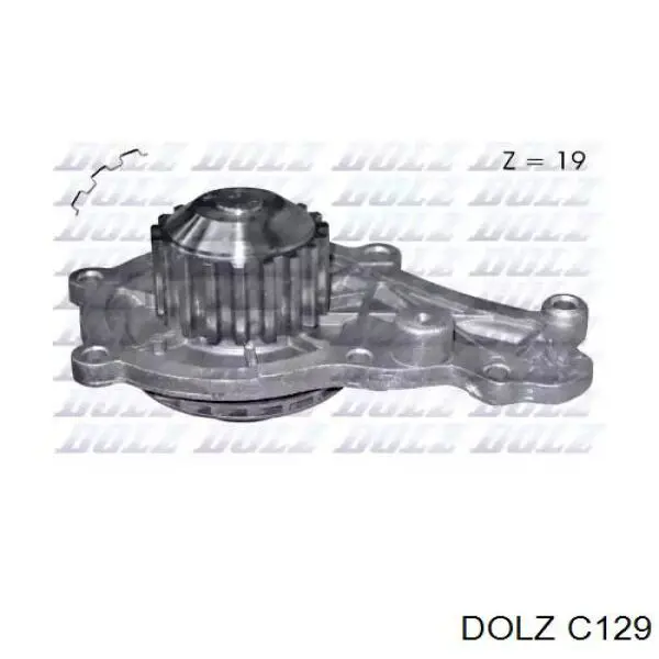 Bomba de agua C129 Dolz