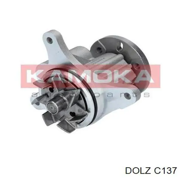 Купить C137 Dolz Насос охлаждения