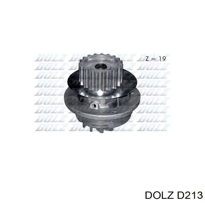 D213 Dolz