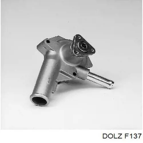 F137 Dolz Насос водяной