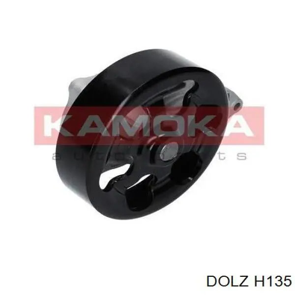 Помпа водяна, (насос) охолодження H135 Dolz
