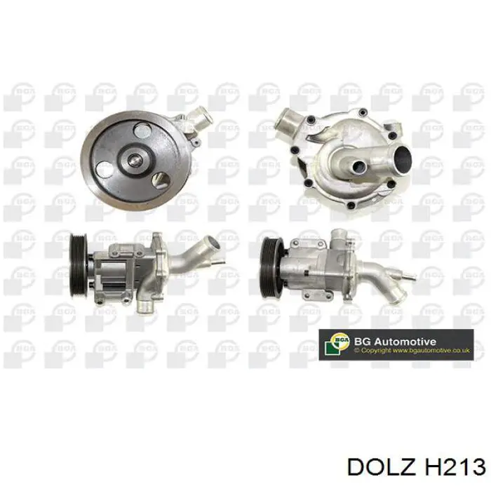 H213 Dolz