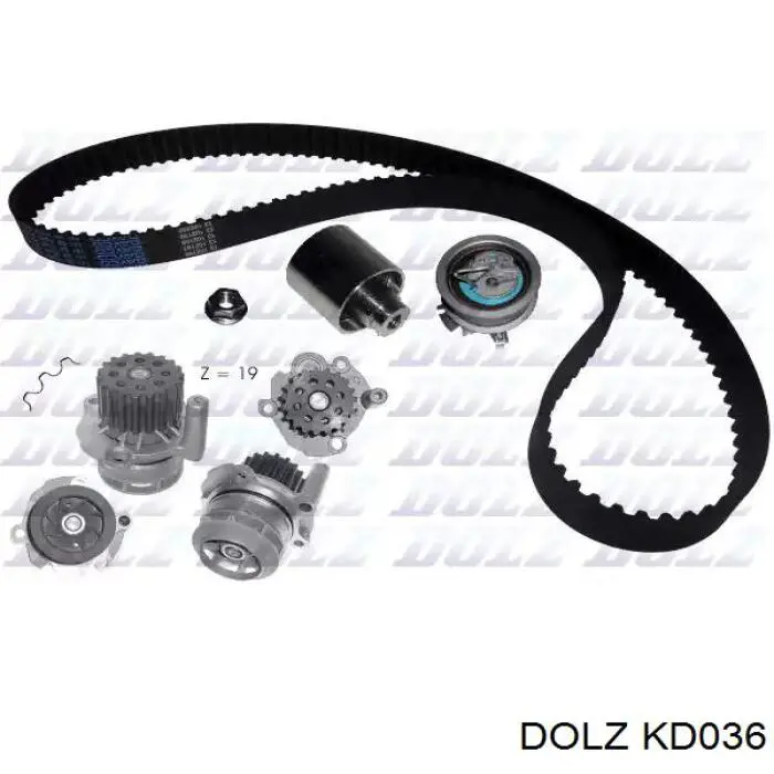  KD036 Dolz