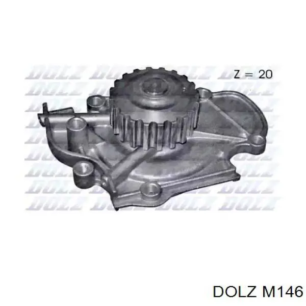 M146 Dolz