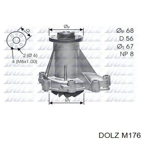 M176 Dolz