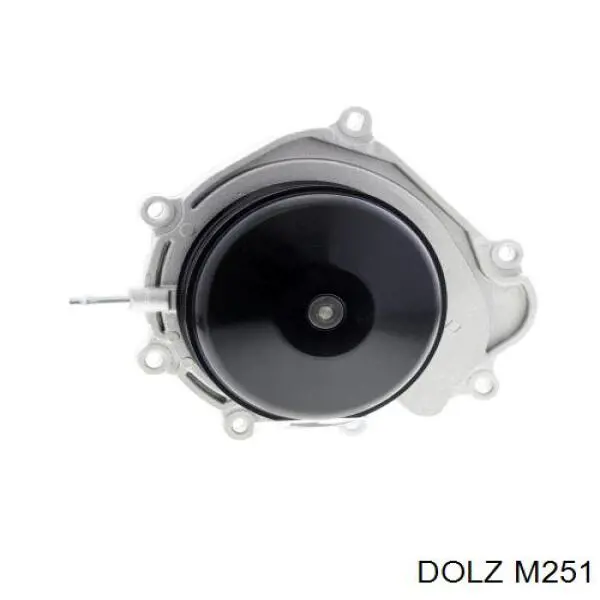 M251 Dolz