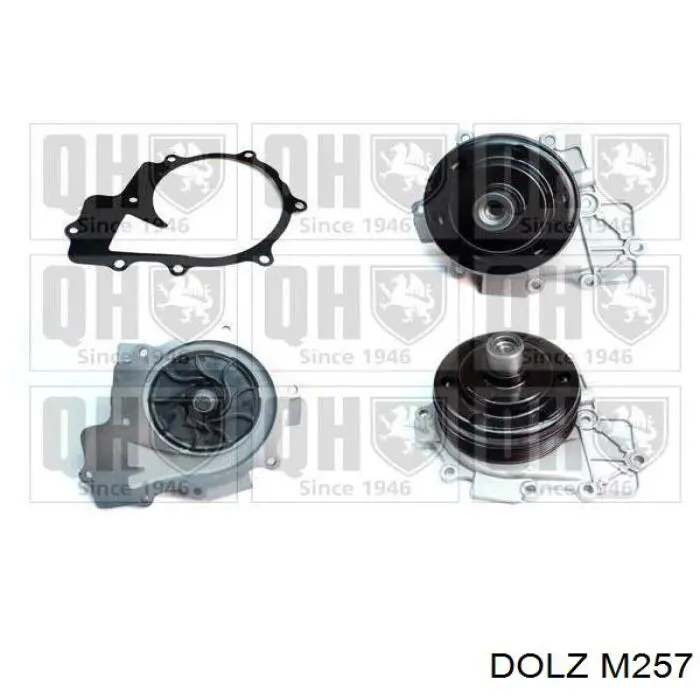 M257 Dolz Насос водяной