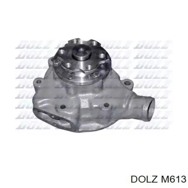 M613 Dolz Насос водяной