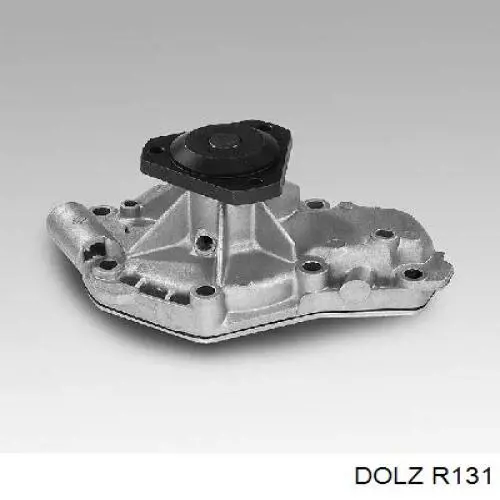 R131 Dolz Насос водяной