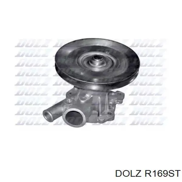  R169ST Dolz