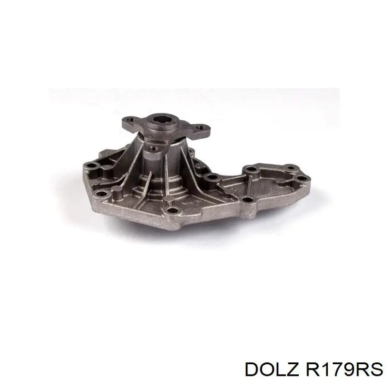 R179RS Dolz Насос водяной