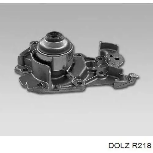 R218 Dolz Насос водяной