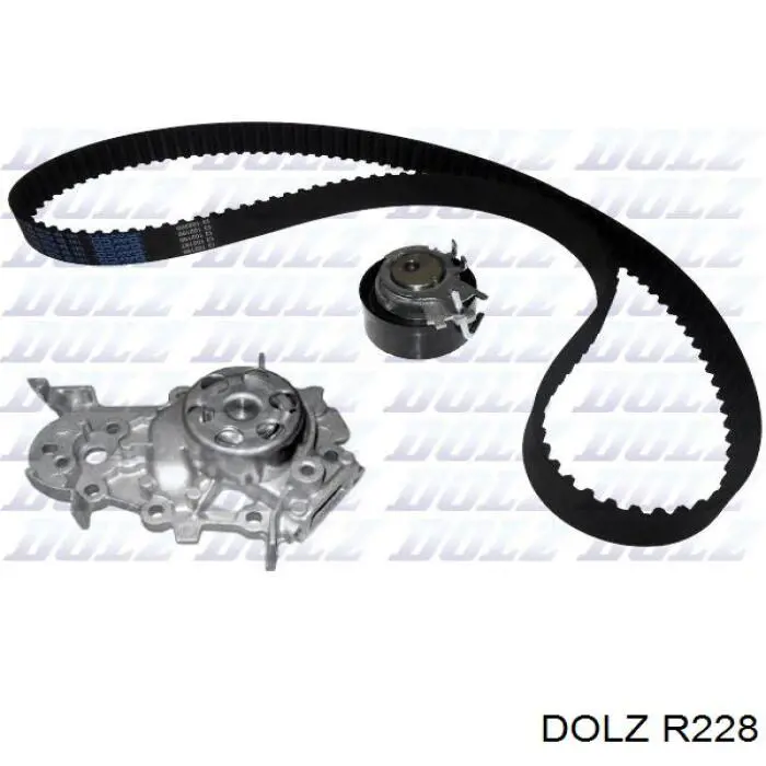 R228 Dolz